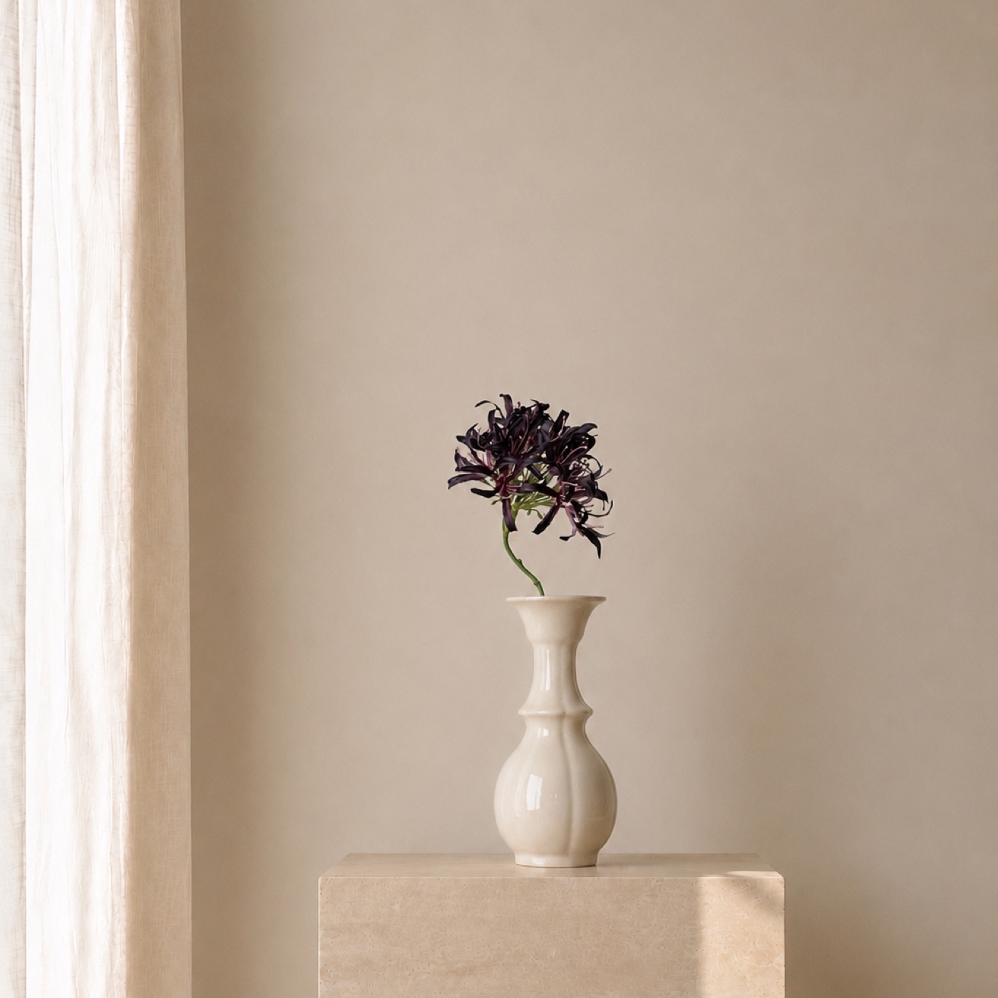 Midnight Allium Stem