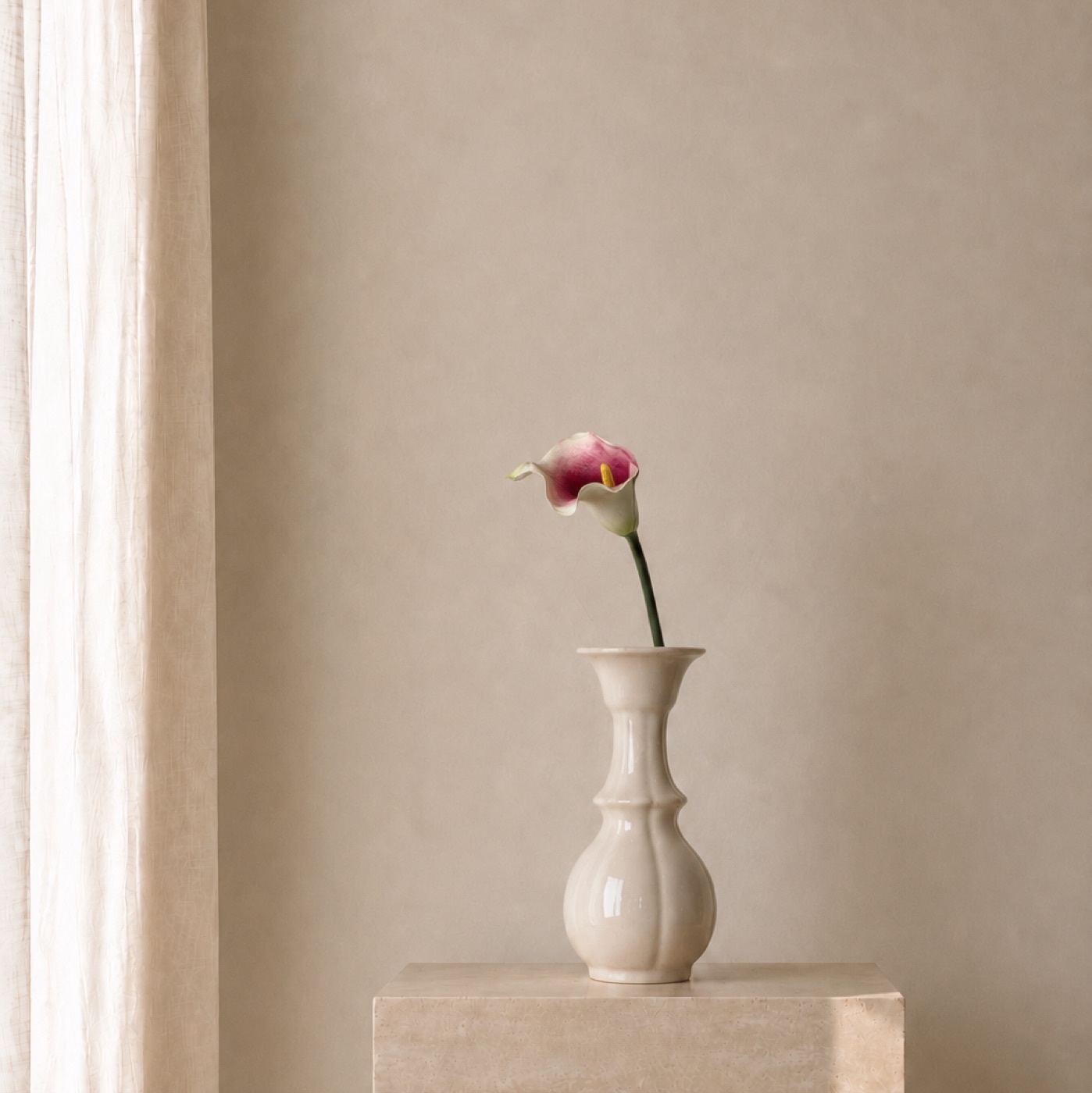 Single Blush Carnation Vase