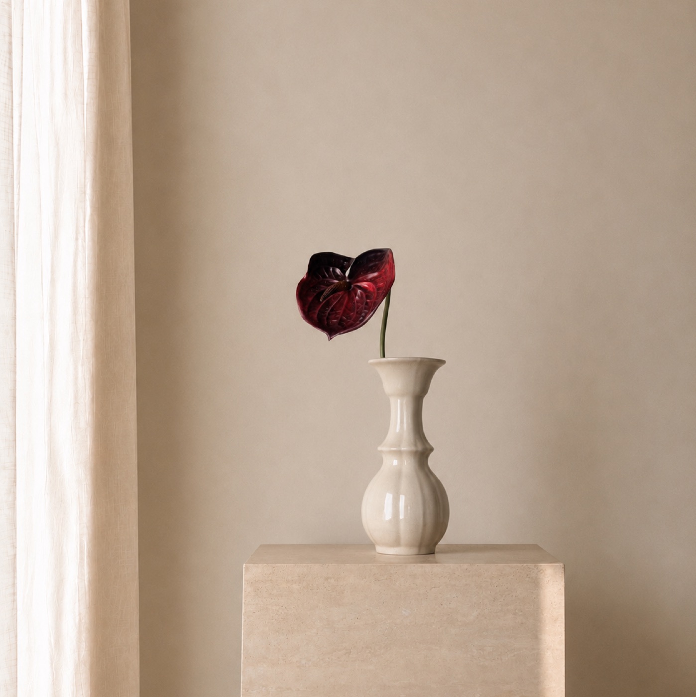 Bordeaux Anthurium Stem