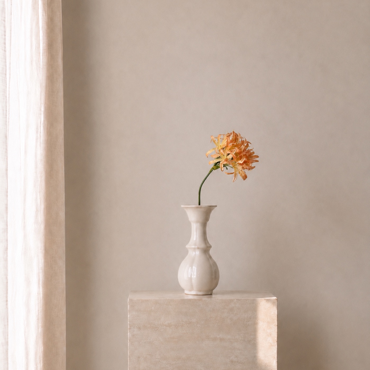 Apricot Carnation Stem