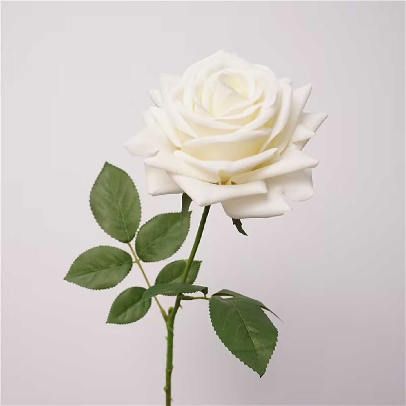 Real-Touch 'Turkish' Rose Stem (White)