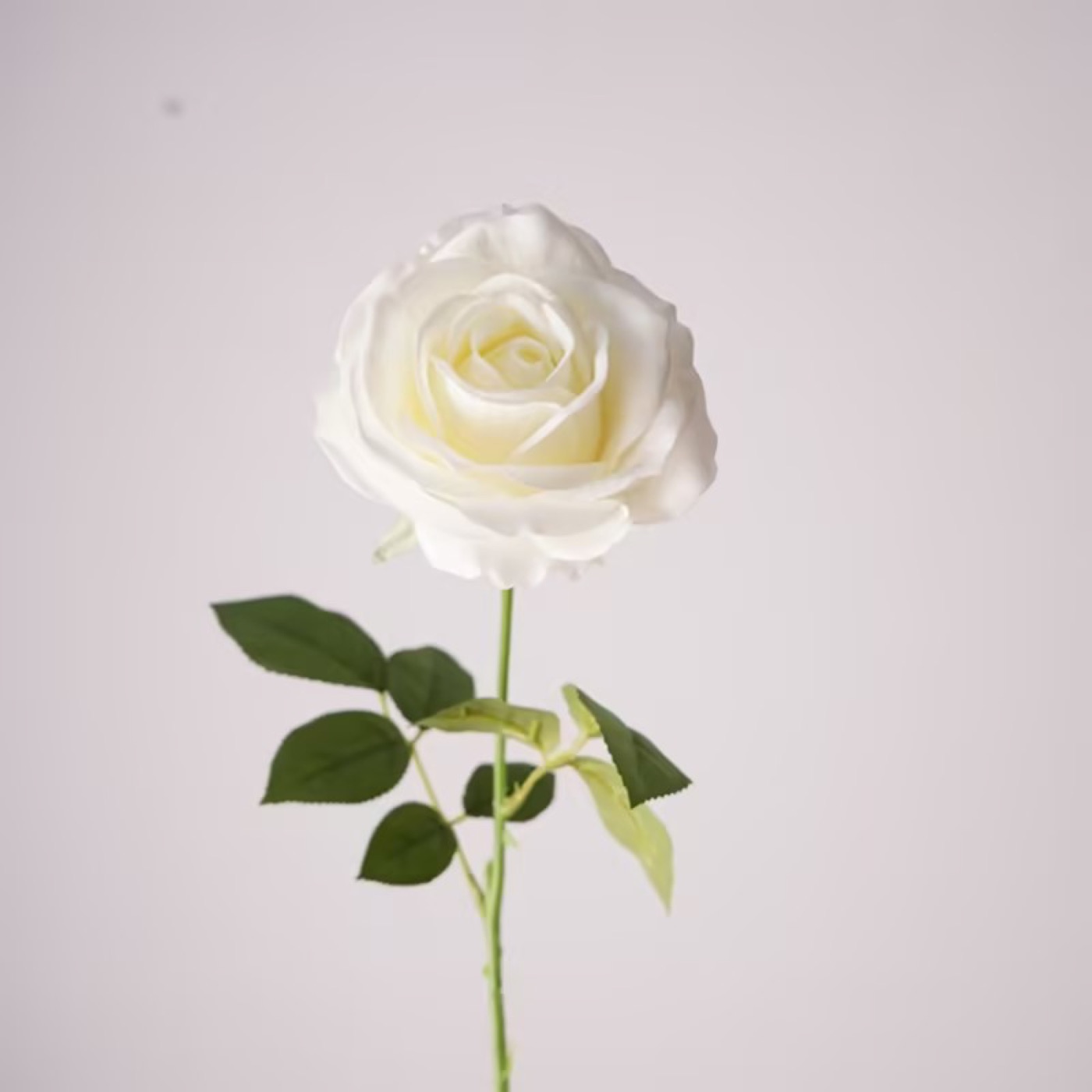Real-Touch 'Mondial' Rose Stem (White)