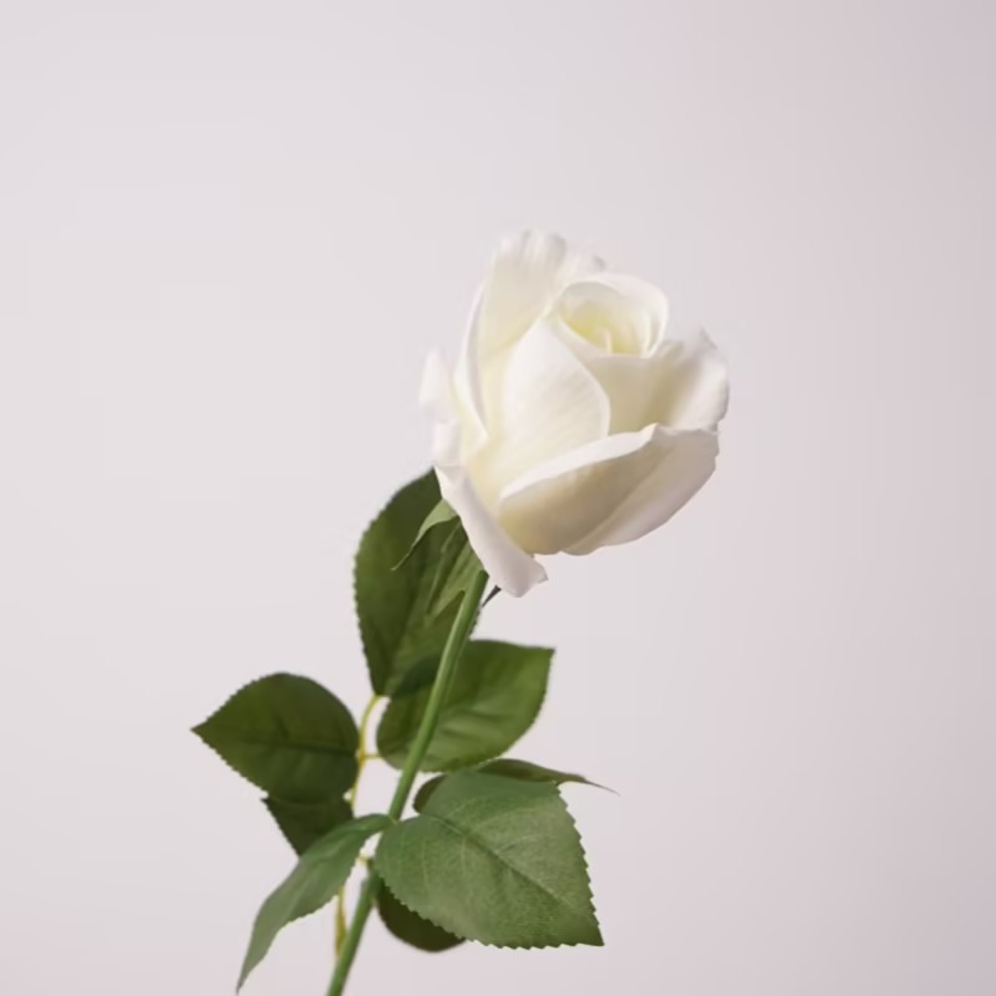 Real-Touch 'Peach Avalanche' Rose Stem (White)