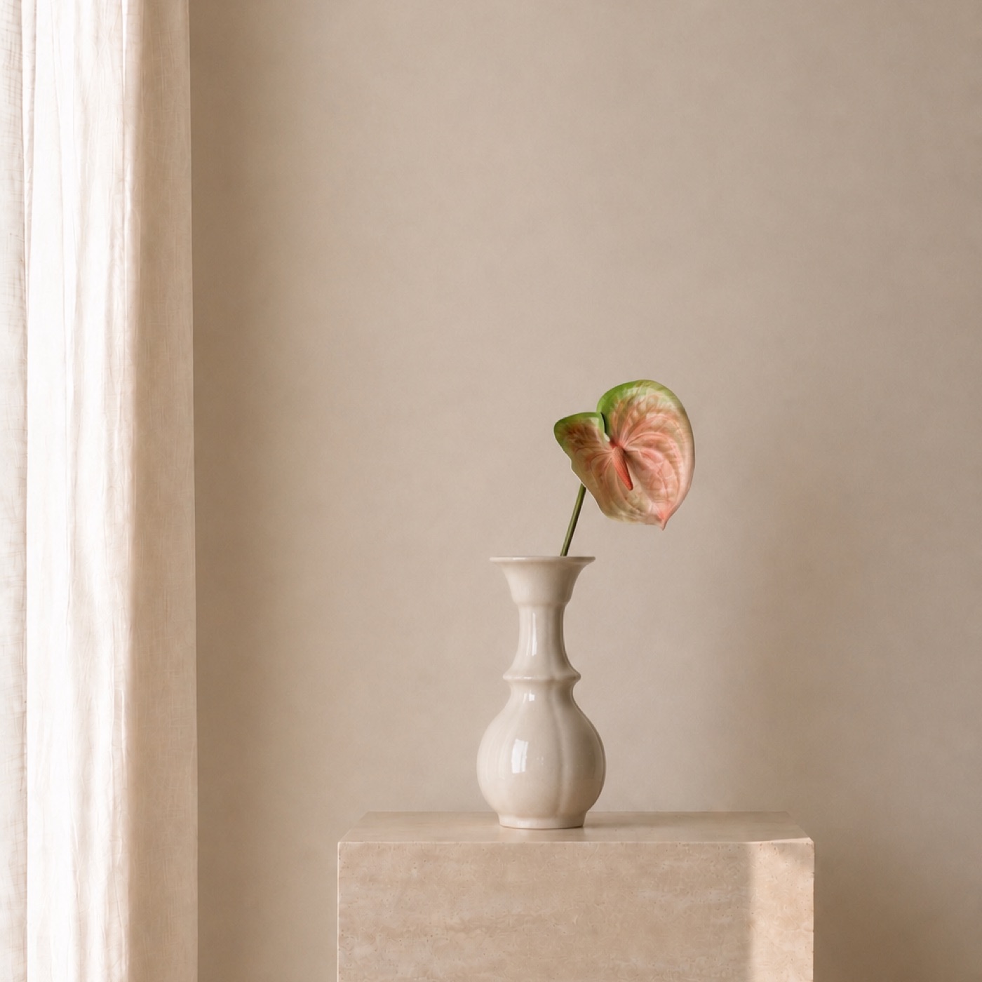 Blush Anthurium Stem