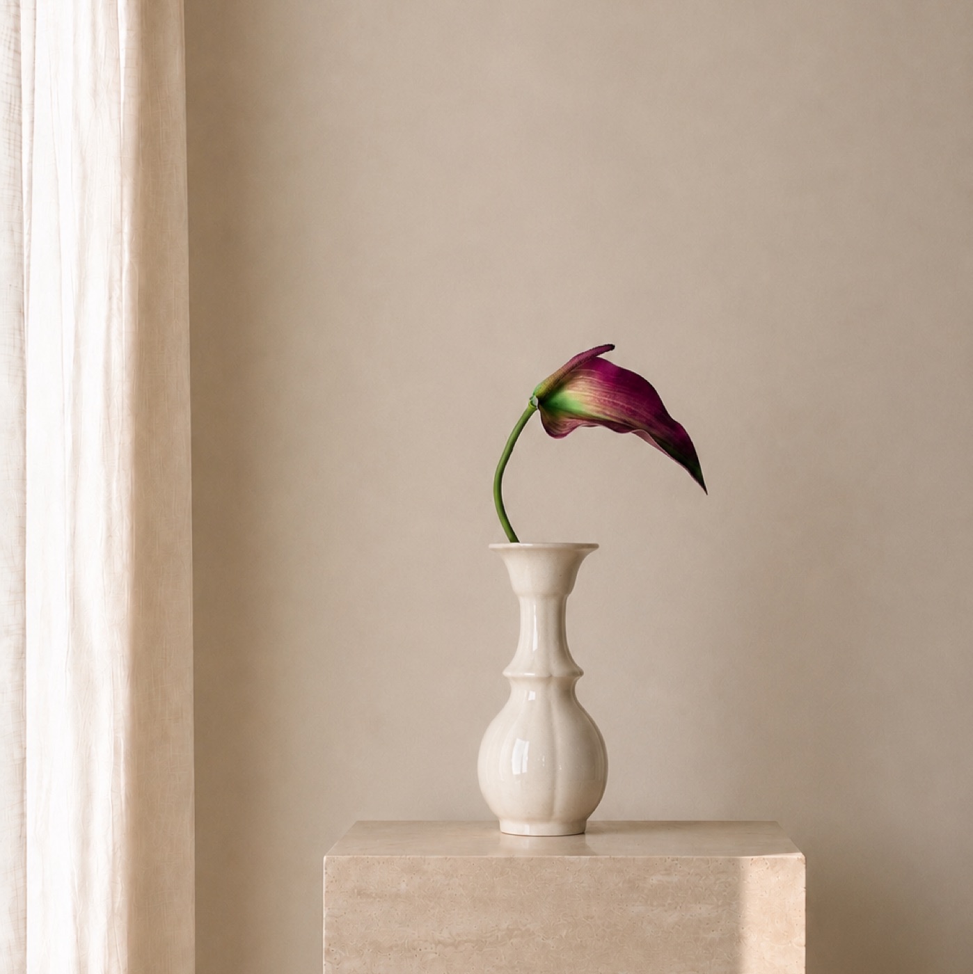 Aubergine Calla Lily Stem