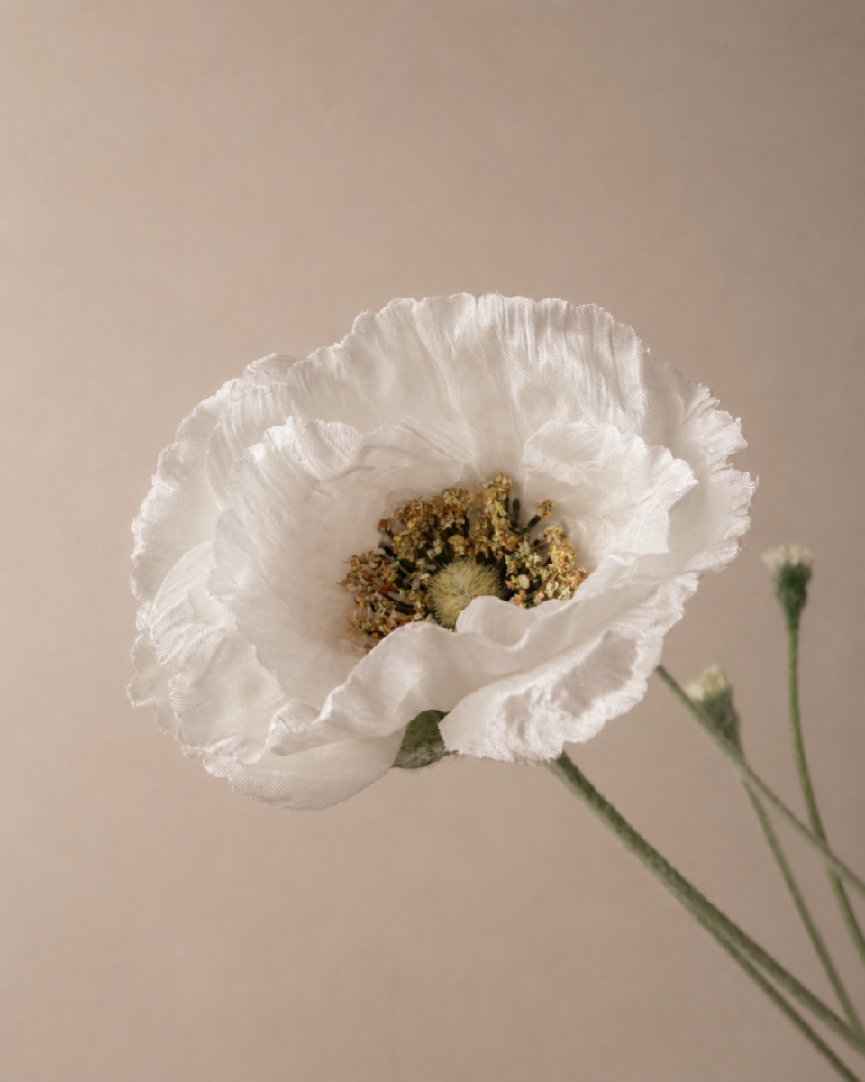 仿真五头虞美人罂粟花枝（奶白色）