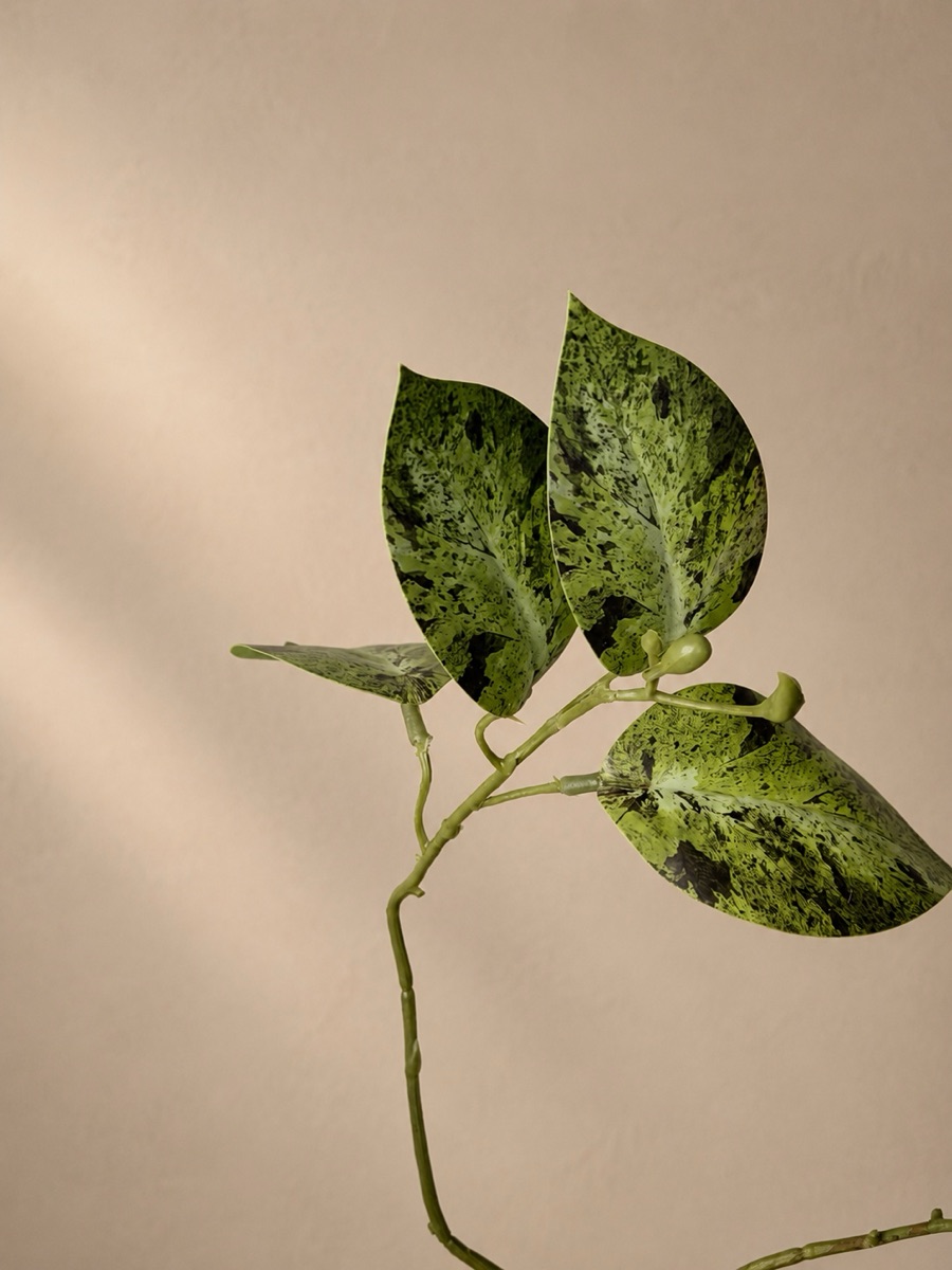 仿真三头香芋叶花枝（黑白色）