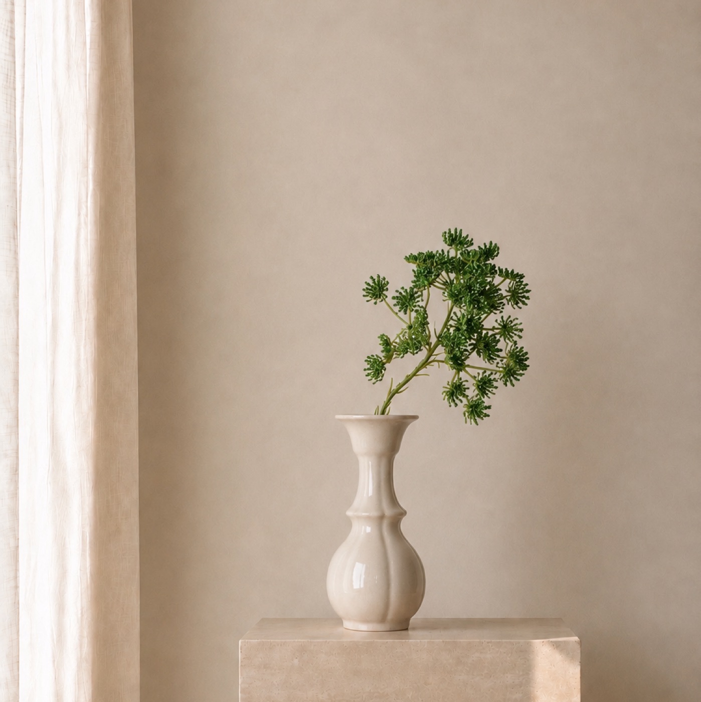 Botanical Branch Study