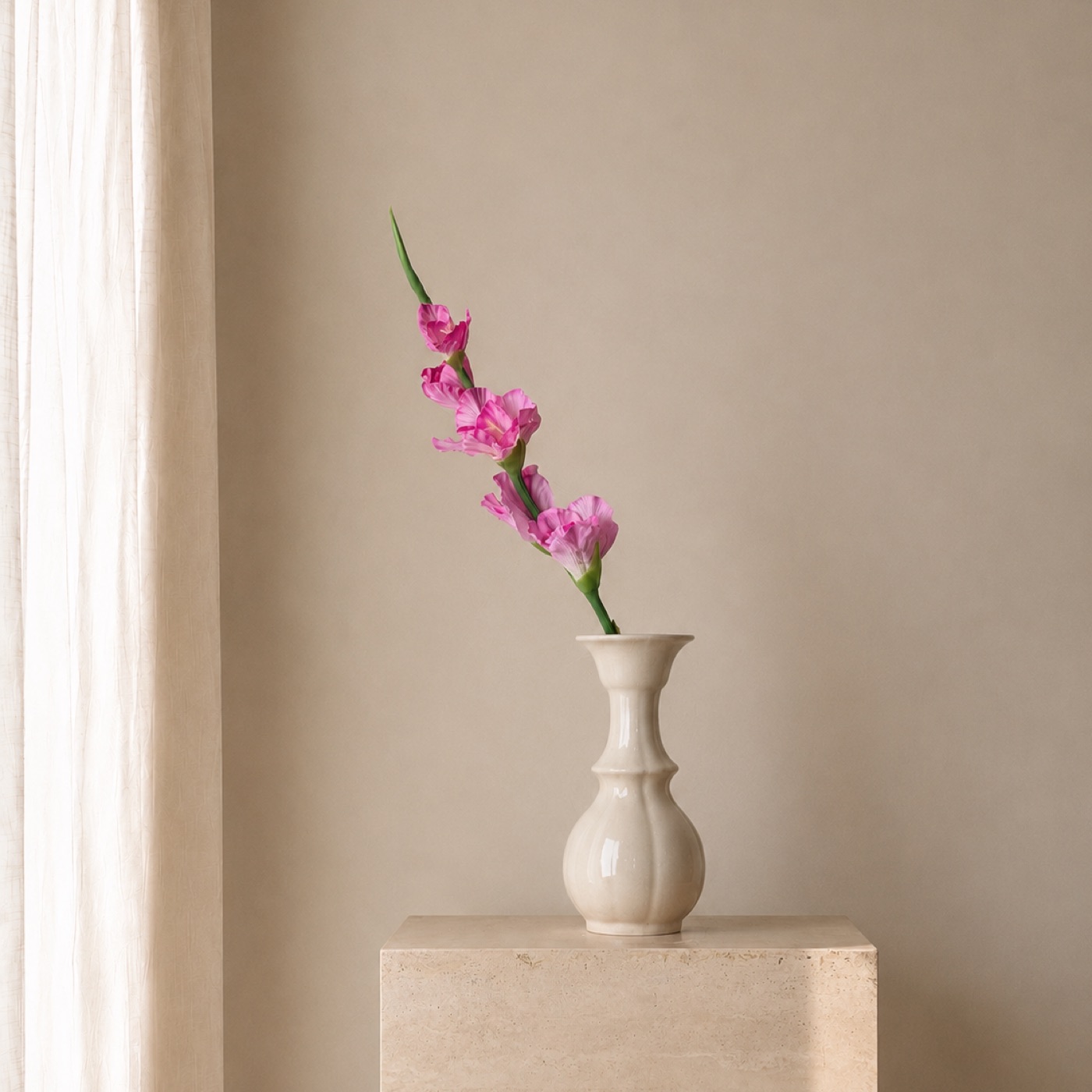 Cerise Gladiolus Stem