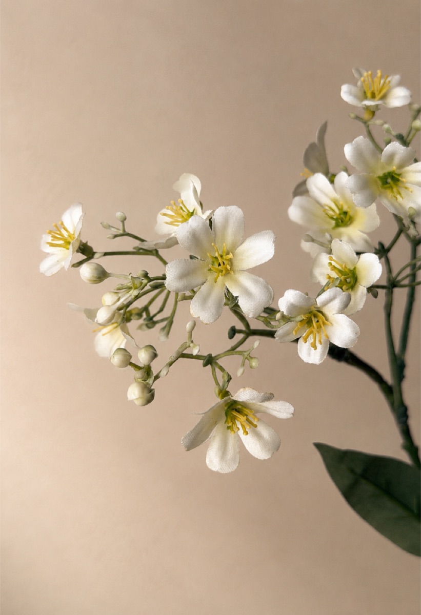 Faux Daphne Stem (White) — detail 2