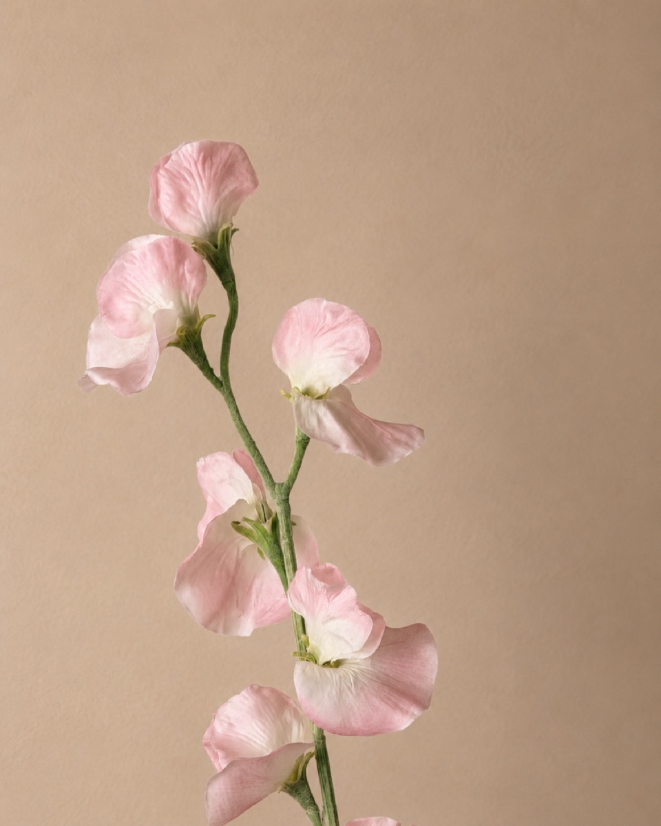 仿真流年豌豆花枝（粉色）