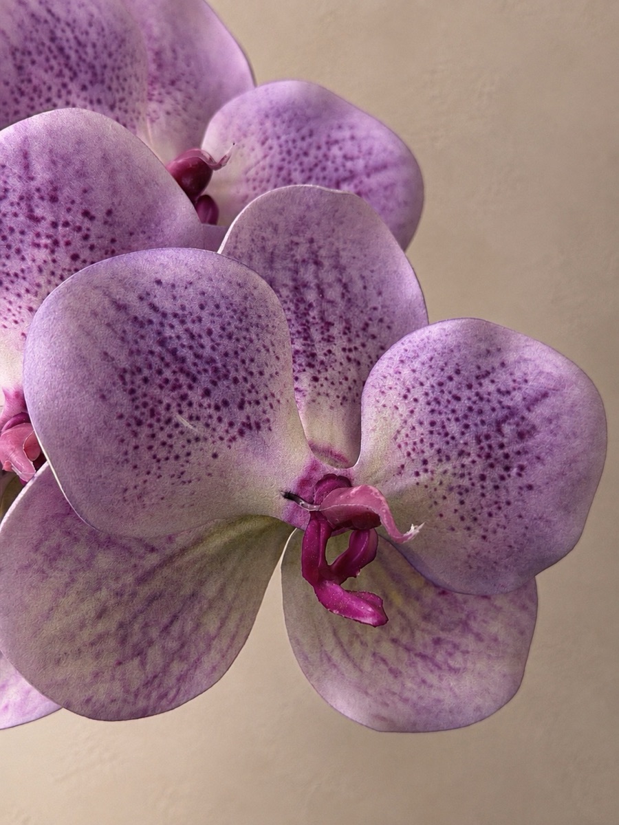 Faux Vanda & Phalaenopsis Orchid Stem (Light Purple)