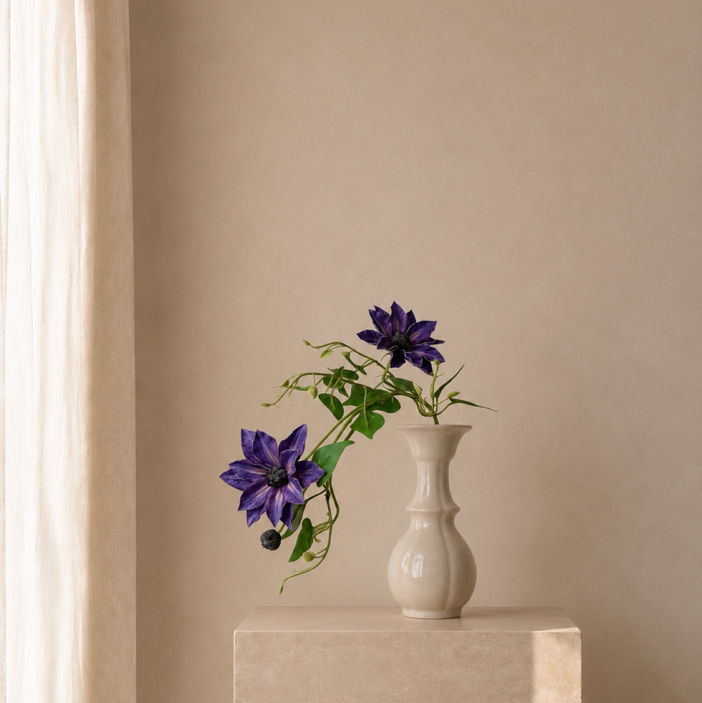 Imperial Clematis Arc