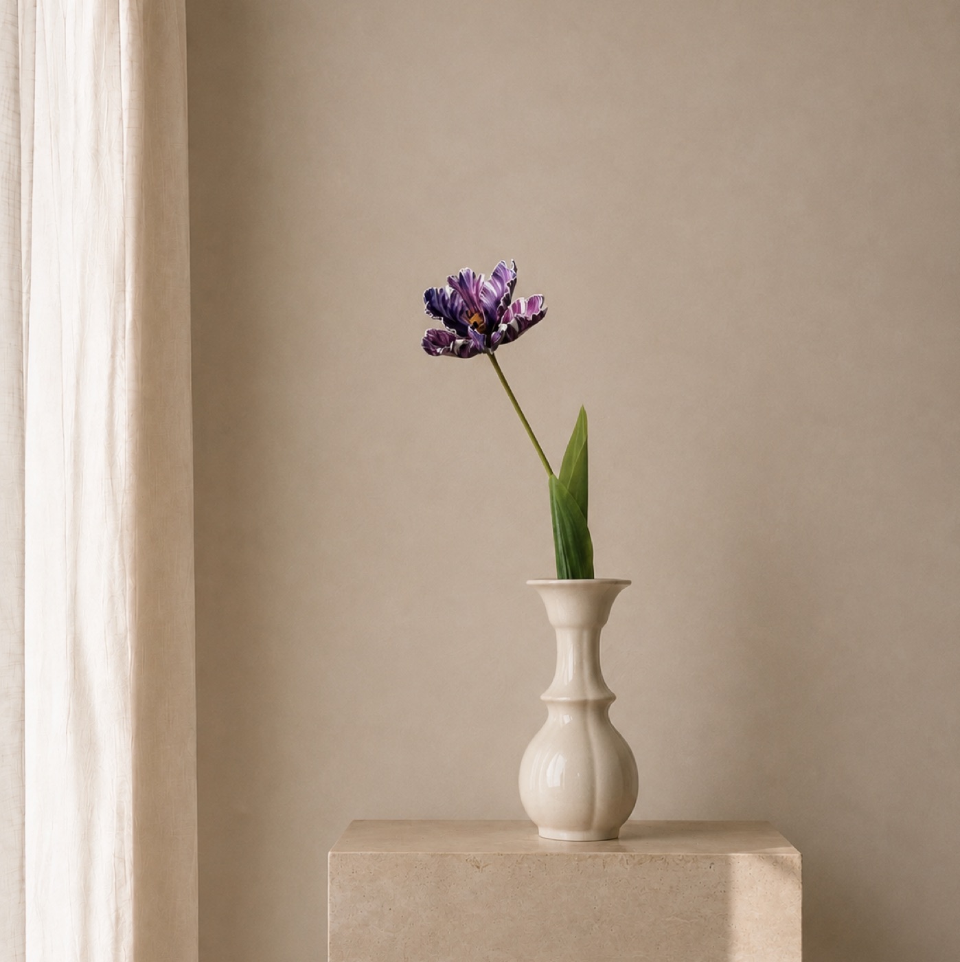 Aubergine Parrot Tulip