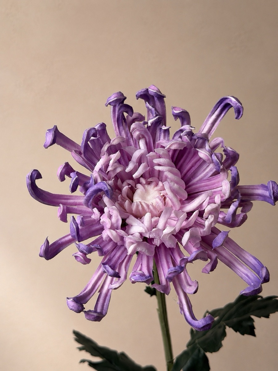 Real-Touch Royal Chrysanthemum Stem (Purple)