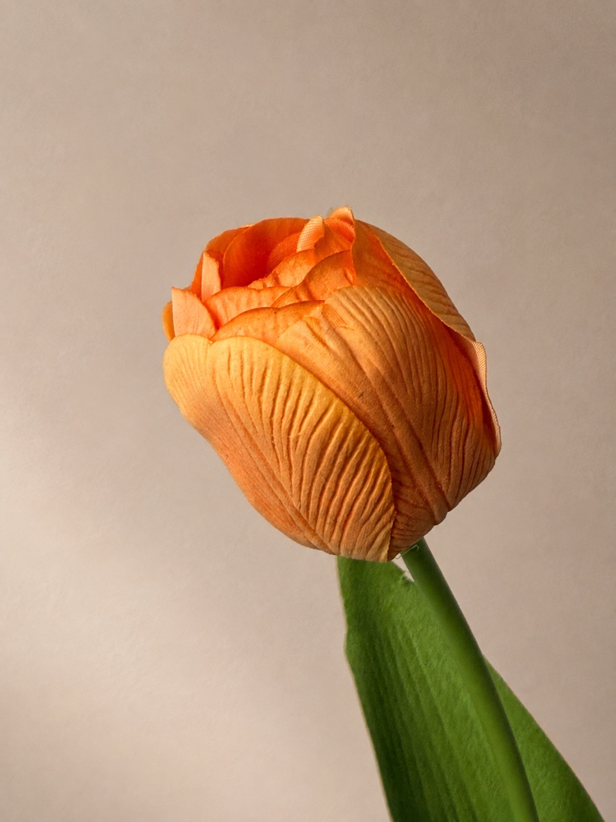 Real-Touch Tulip Stem (Orange)