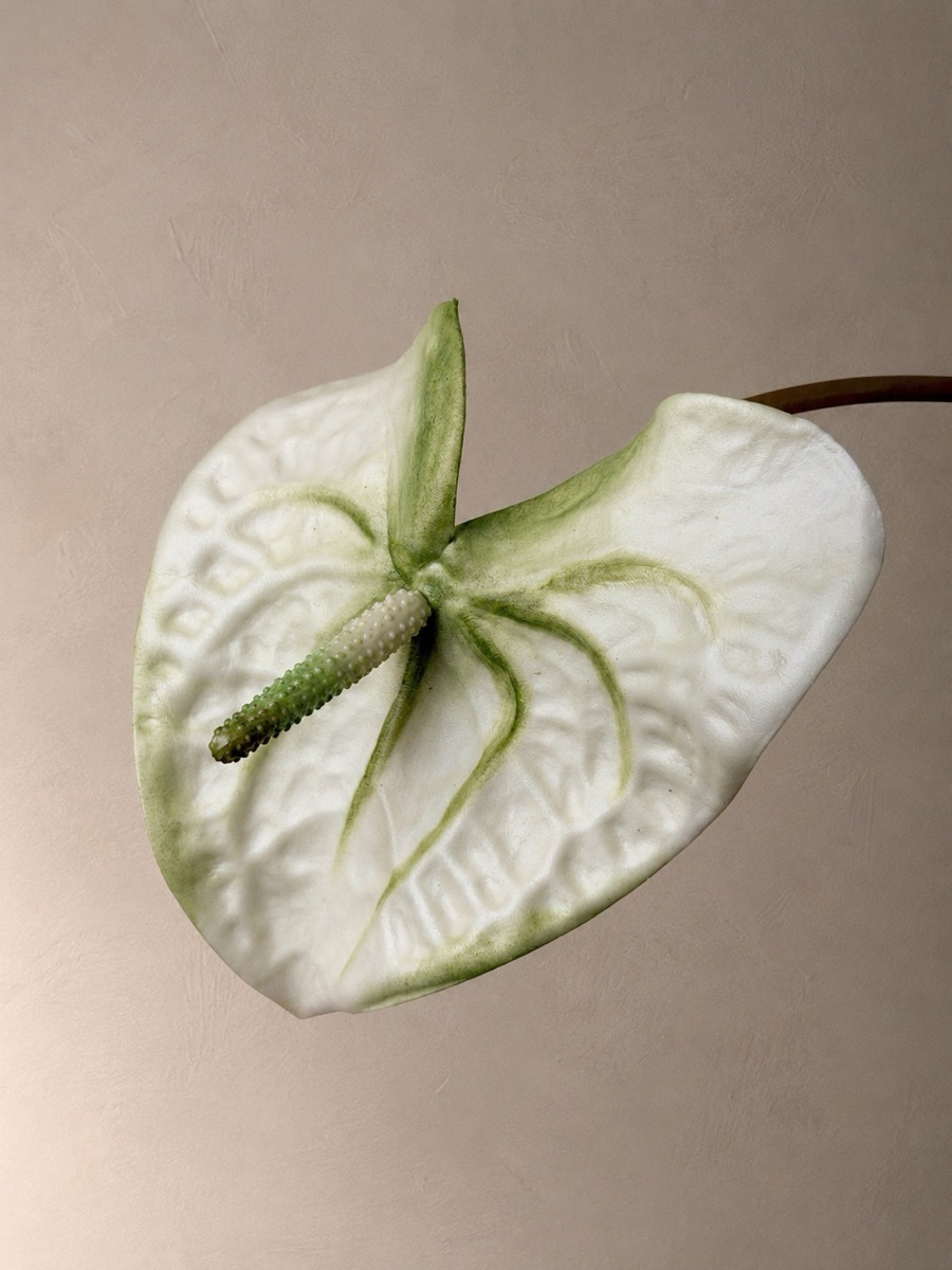 Real-Touch Heart Anthurium Stem (Cucumber Green)
