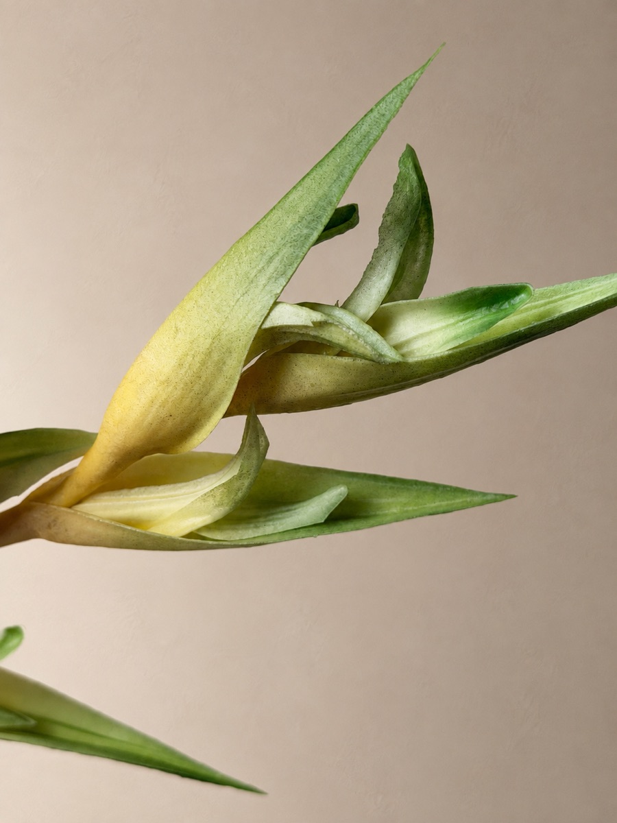 Real-Touch Golden Heliconia Stem (Green)