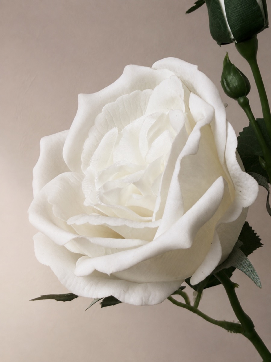 Real-Touch 'Austin' Garden Rose Stem (White) — detail 3