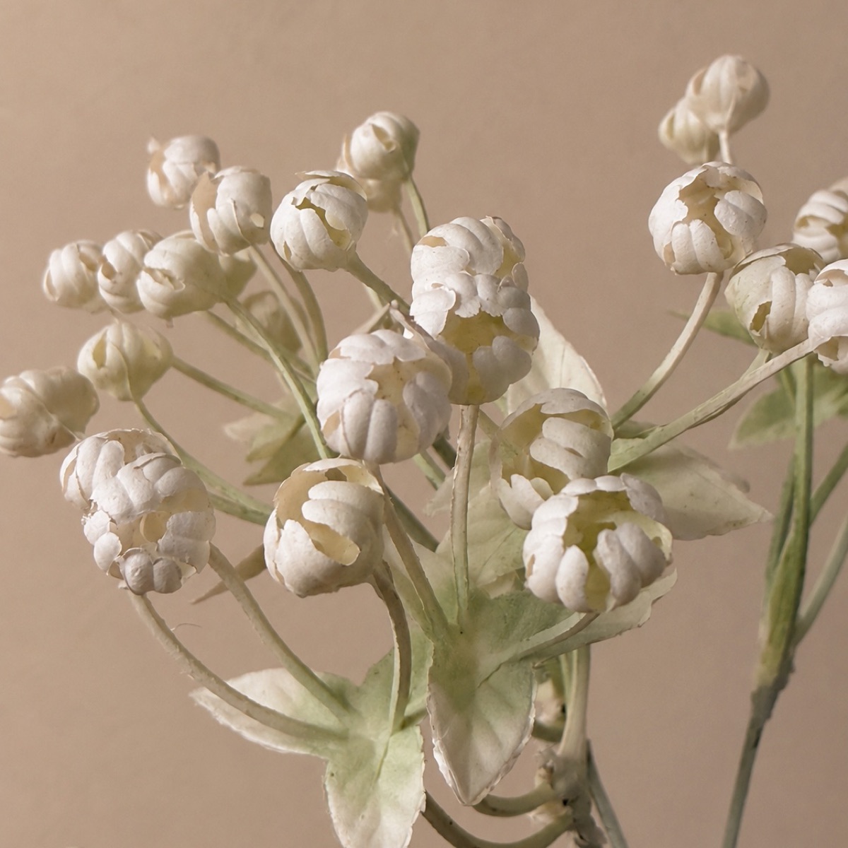 Faux Fig & Baby's Breath Stem (White) — detail 3