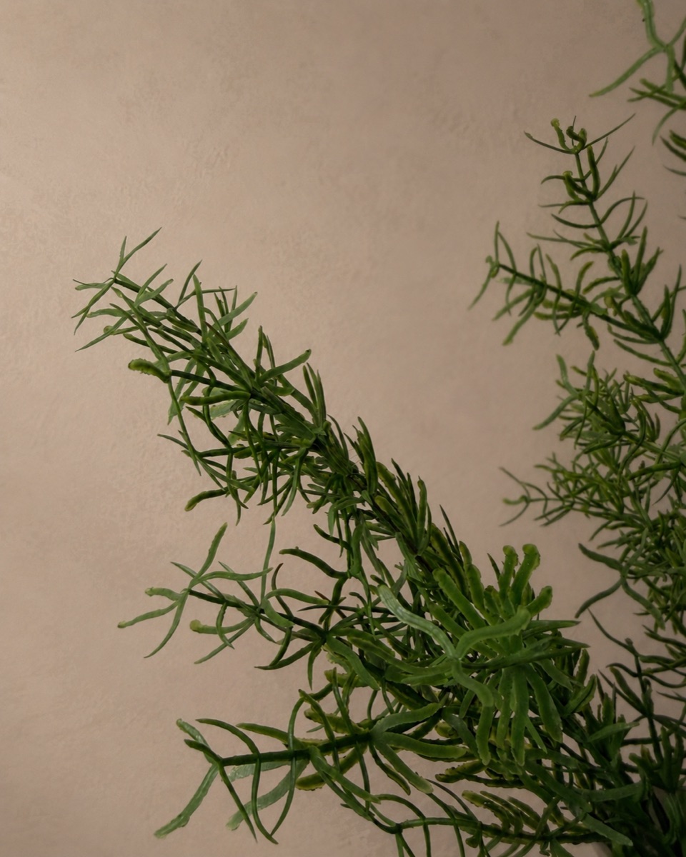 Faux Asparagus Fern, 19-Frond (Green) — detail 3