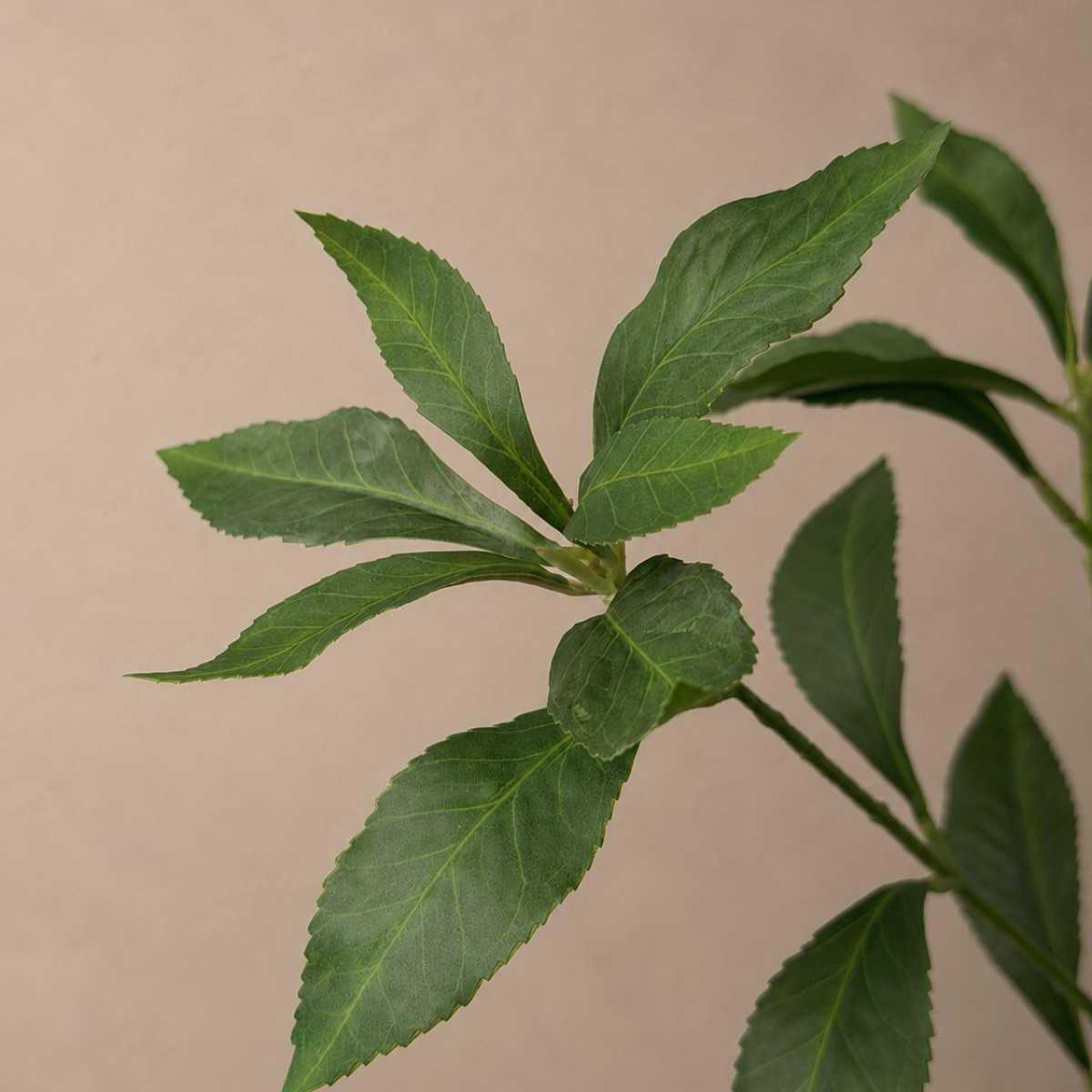 Real-Touch Pieris Branch, Small (3D Green) — detail 3