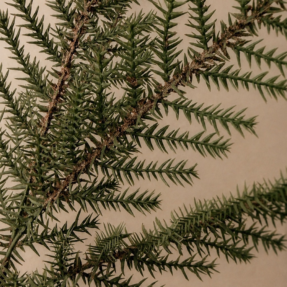 Faux Pine & Persian Grass Spray, Short (Green) — detail 2
