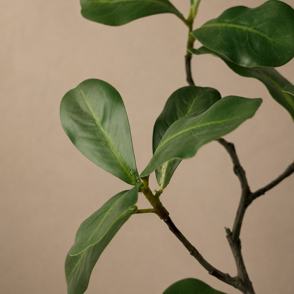 Faux Terminalia Leaf Branch, Short (Green) — detail 3