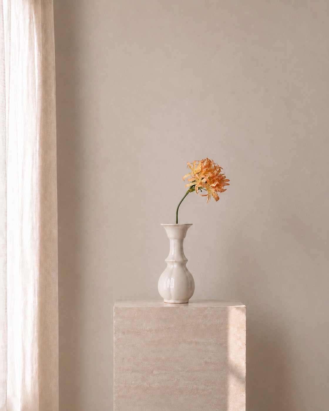 Apricot Carnation Stem