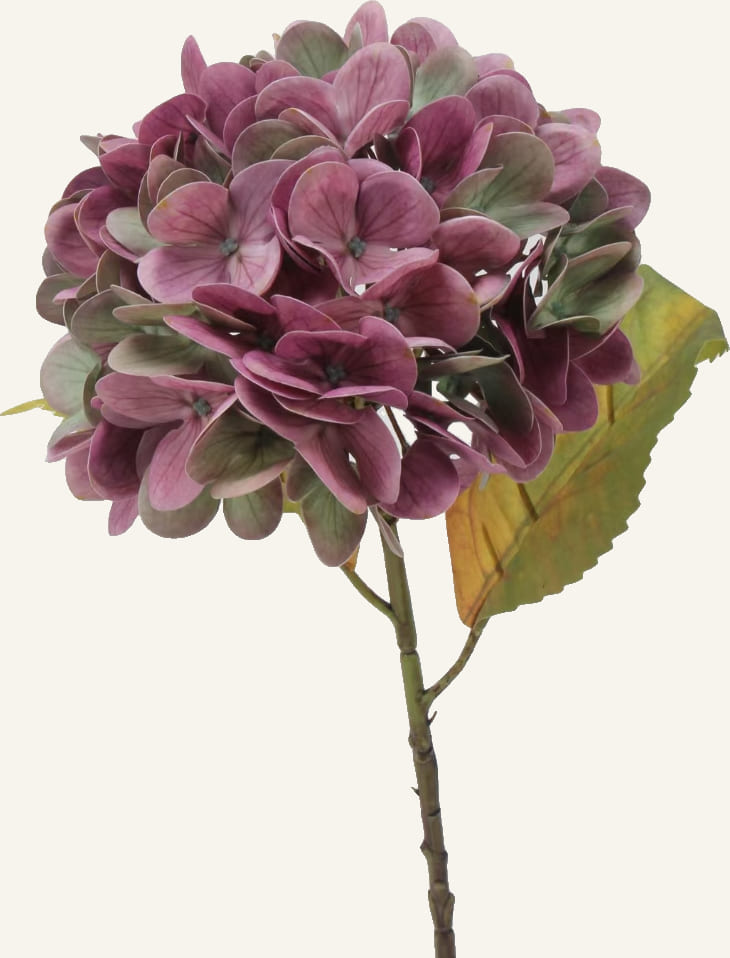 Plum Hydrangea Petite Vase