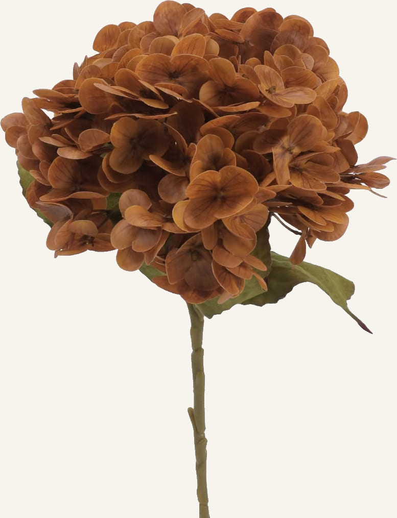 Rust Hydrangea Atelier Vase