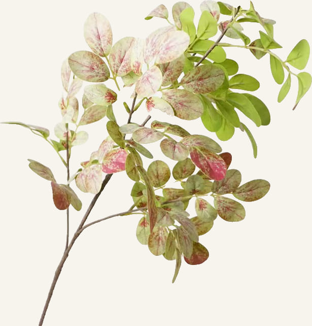 Jardin Rose Branch Vase