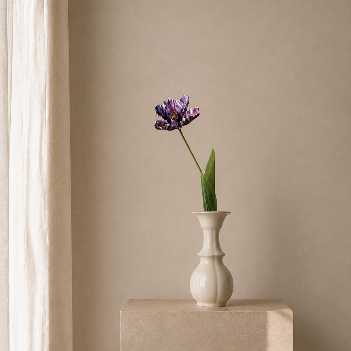 Aubergine Parrot Tulip