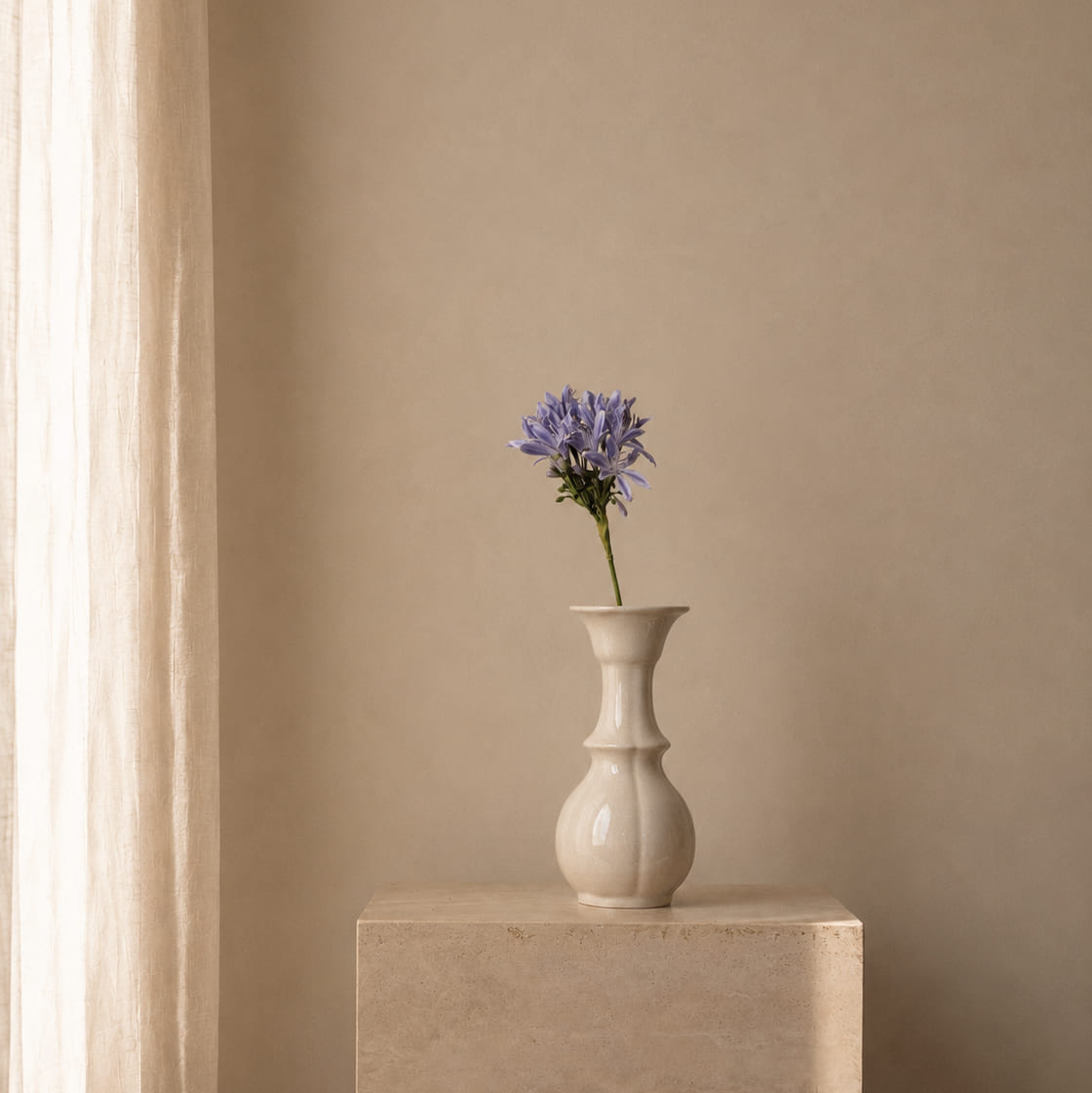 Periwinkle Agapanthus Stem